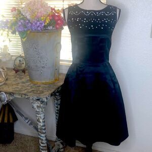 Lotus Grace Black Satin Fit and Flare Dress